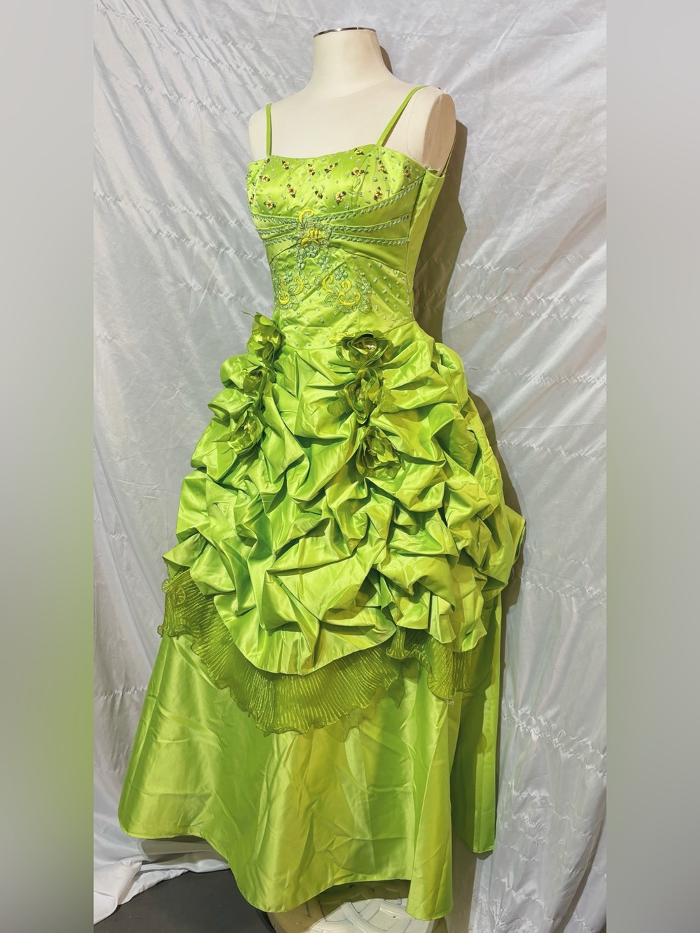 Y2K Princess Tiana Formal Ballgown Halloween Costume Beaded Bodice Tulle Skirt